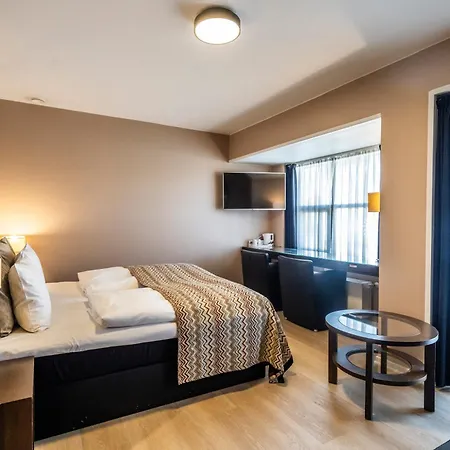 Svanen Hotel 4*