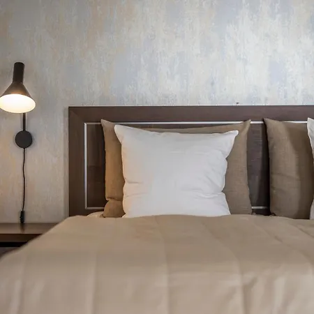 Hotel Svanen 4*